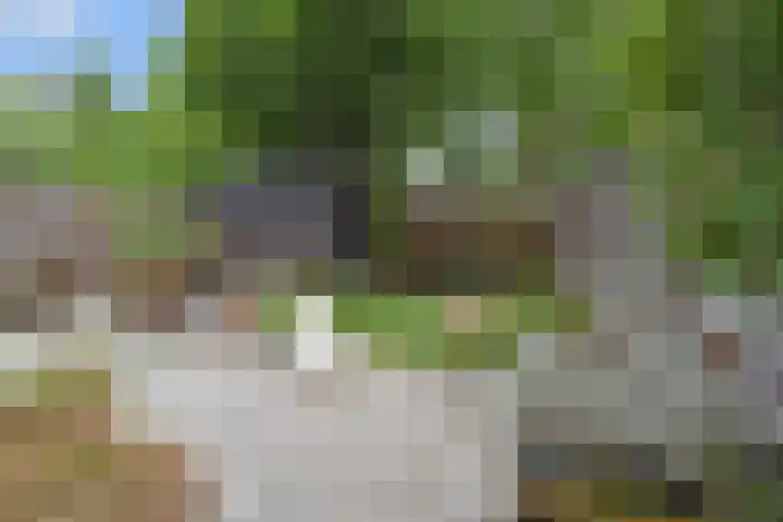Mient 643 Den Haag thumbnail 21