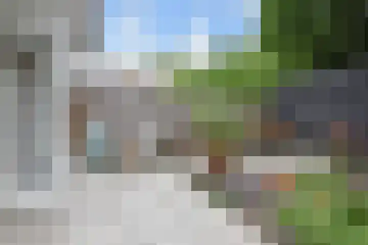 Mient 643 Den Haag thumbnail 22