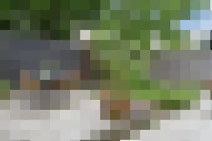 Mient 643 Den Haag thumbnail 24