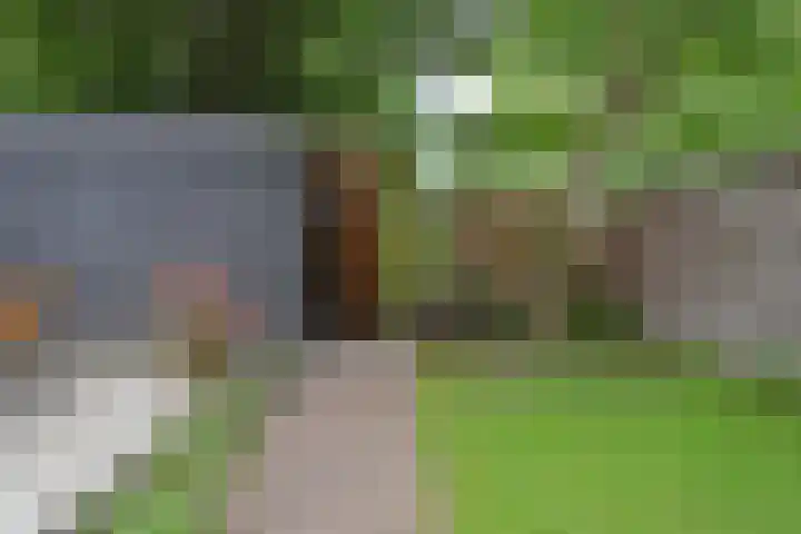 Mient 643 Den Haag thumbnail 26