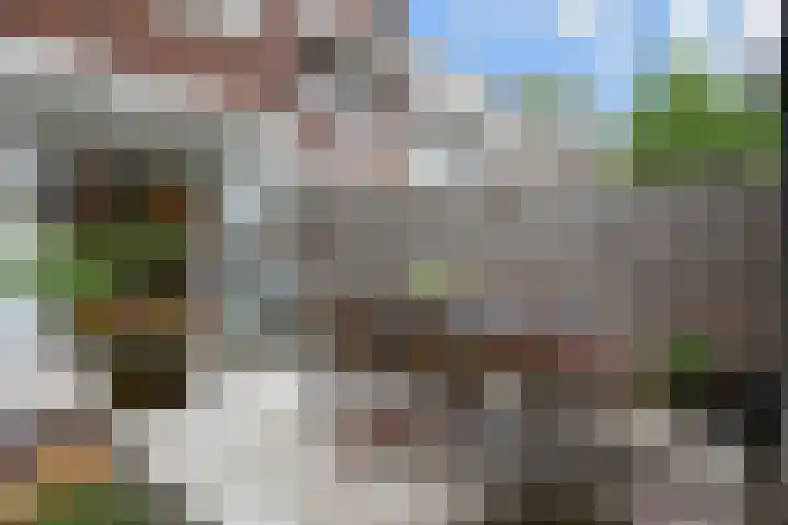 Mient 643 Den Haag thumbnail 27