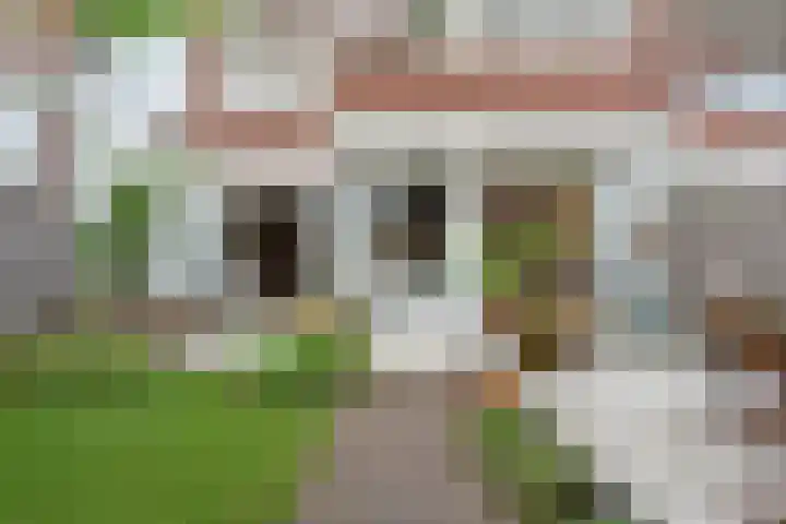 Mient 643 Den Haag thumbnail 28