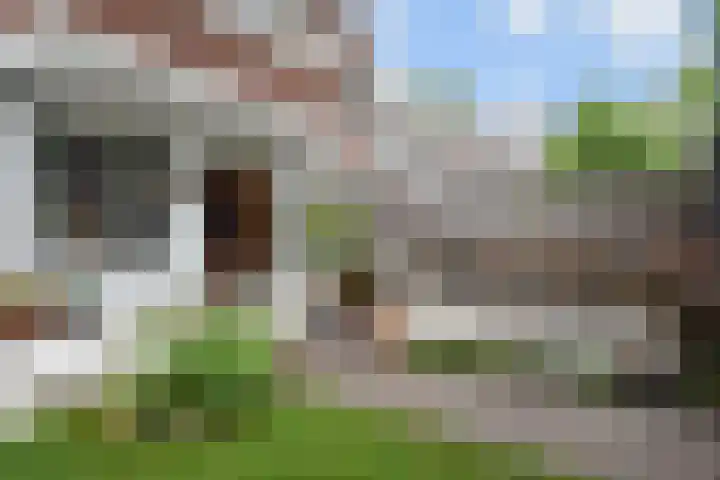 Mient 643 Den Haag thumbnail 29