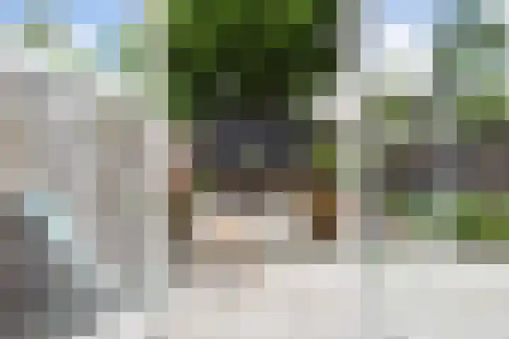 Mient 643 Den Haag thumbnail 38