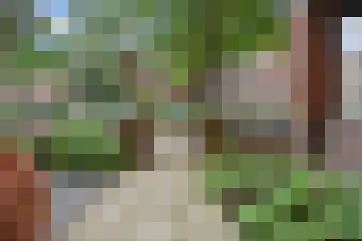 Mient 643 Den Haag thumbnail 47