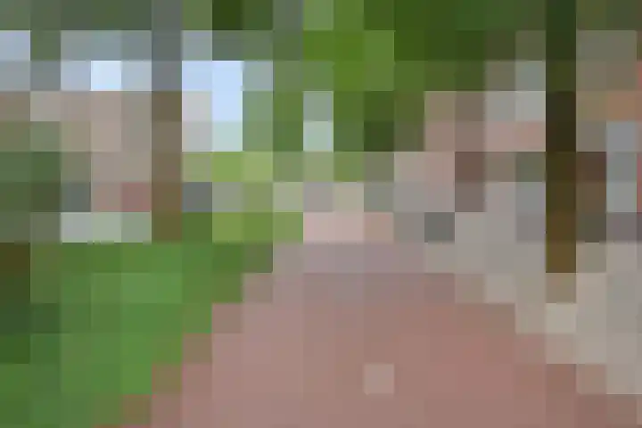 Mient 643 Den Haag thumbnail 49