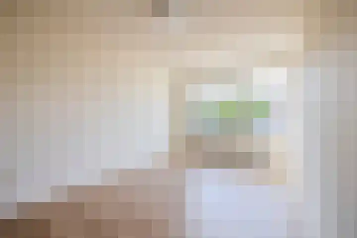 Mient 7 Den Haag thumbnail 10