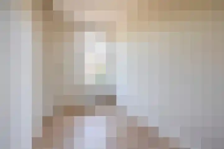 Mient 7 Den Haag thumbnail 12