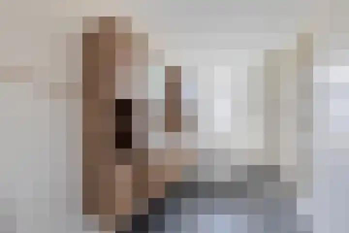 Mient 7 Den Haag thumbnail 13