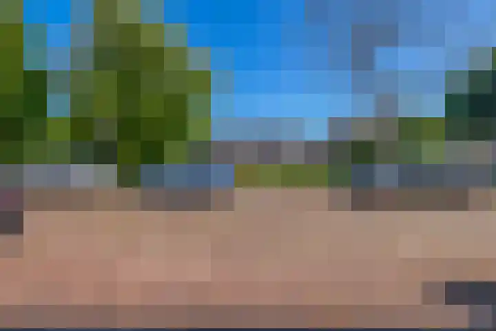 Mient 7 Den Haag thumbnail 18