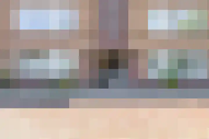 Mient 7 Den Haag foto 2