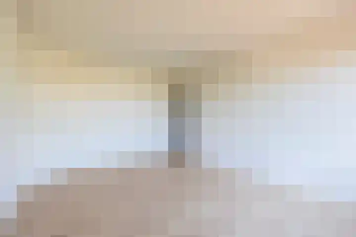 Mient 7 Den Haag thumbnail 4