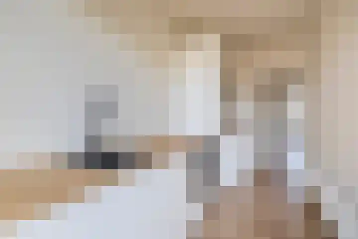 Mient 7 Den Haag thumbnail 6