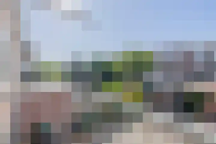Mient 7 Den Haag thumbnail 8