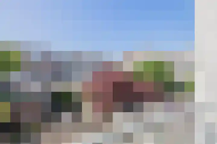 Mient 7 Den Haag thumbnail 9
