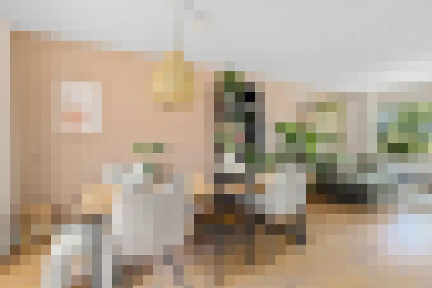 Mient 71 Castricum thumbnail 11