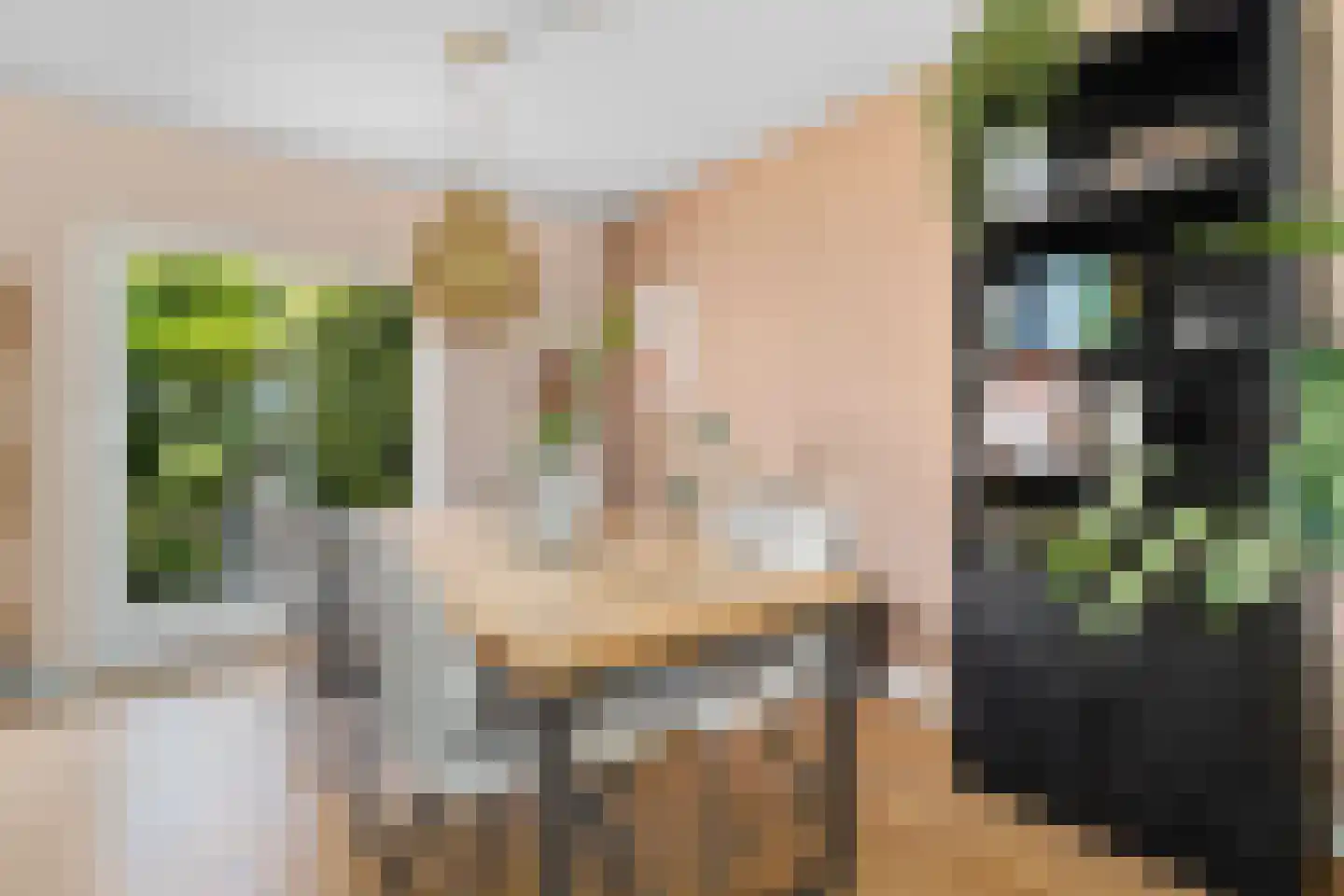 Mient 71 Castricum thumbnail 12