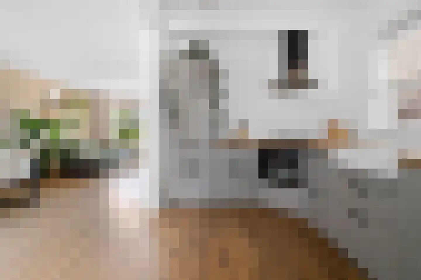 Mient 71 Castricum thumbnail 13