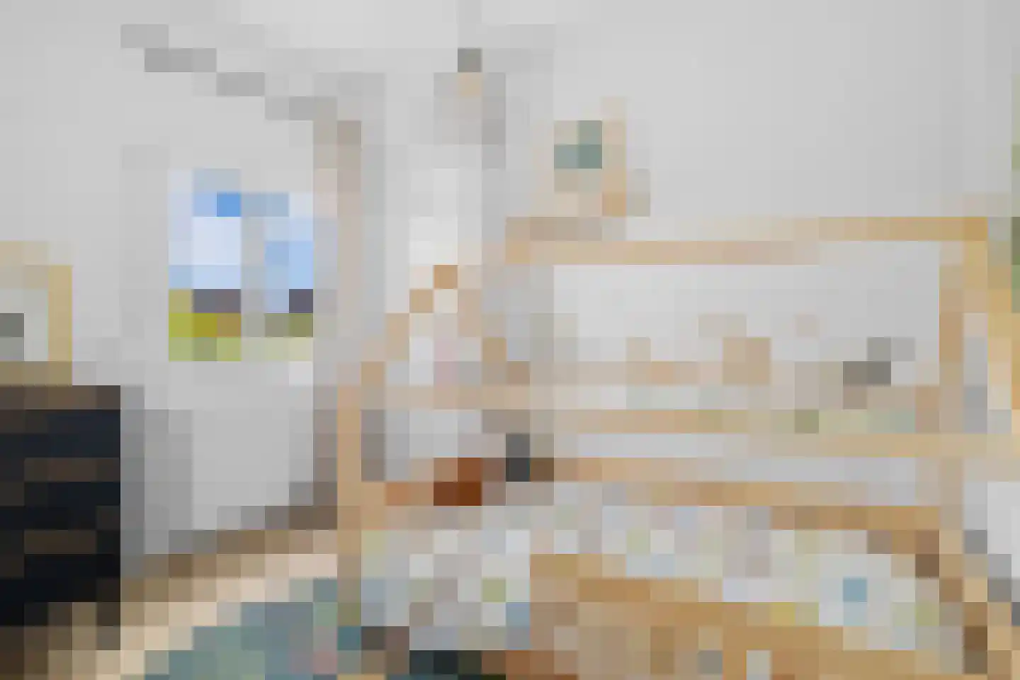 Mient 71 Castricum thumbnail 26