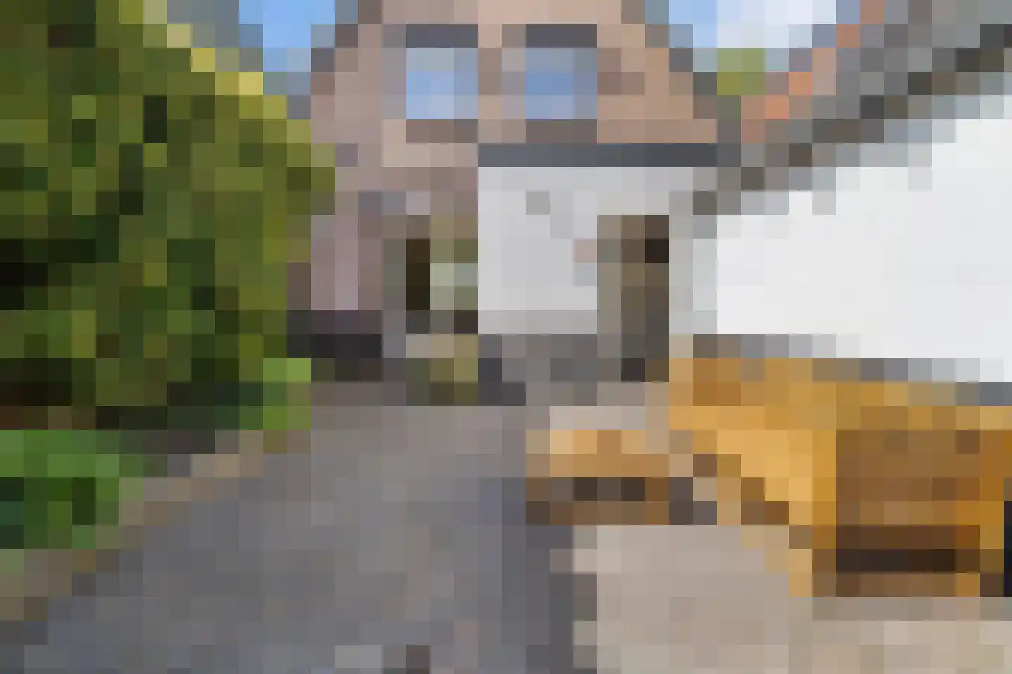 Mient 71 Castricum thumbnail 33