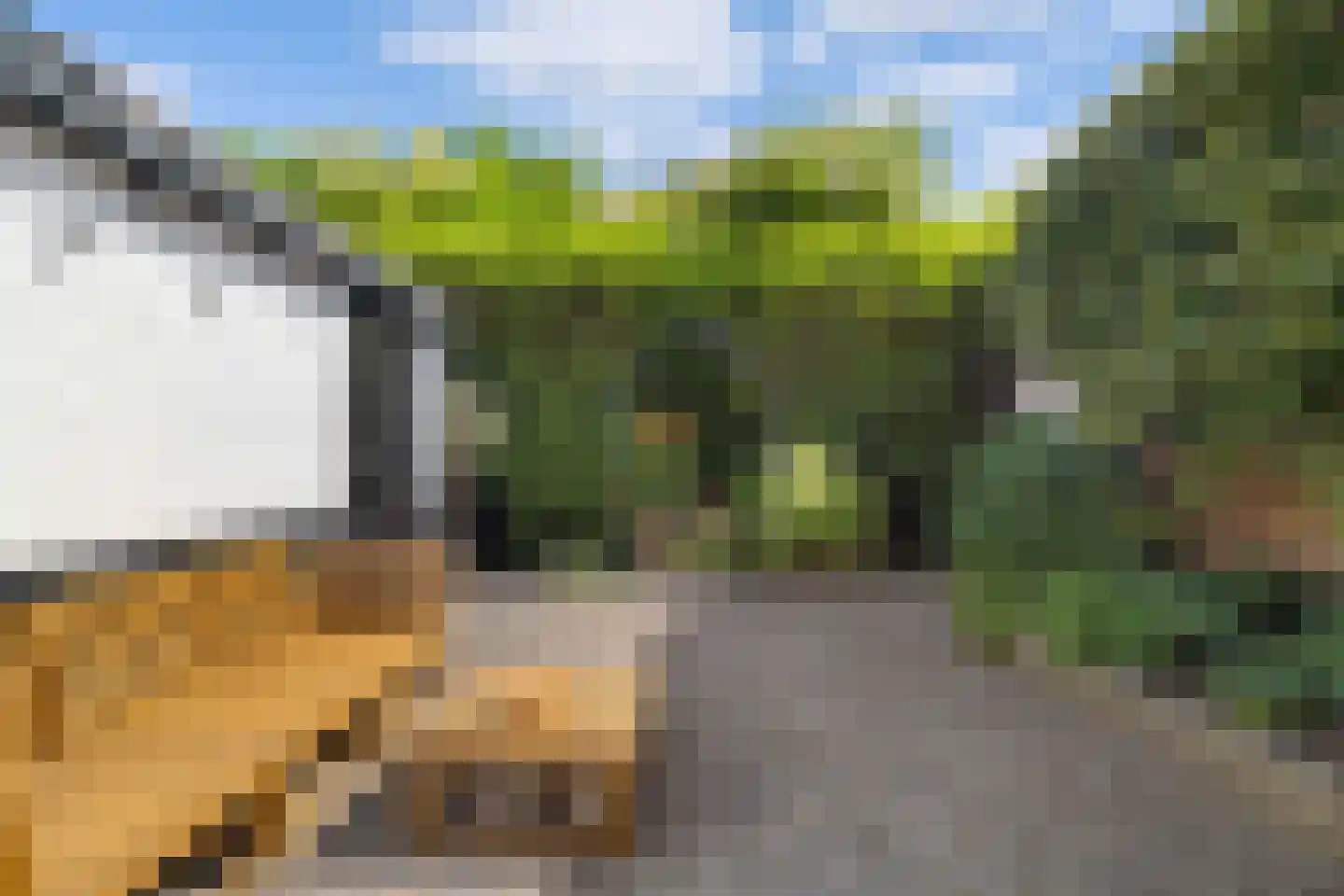 Mient 71 Castricum thumbnail 35