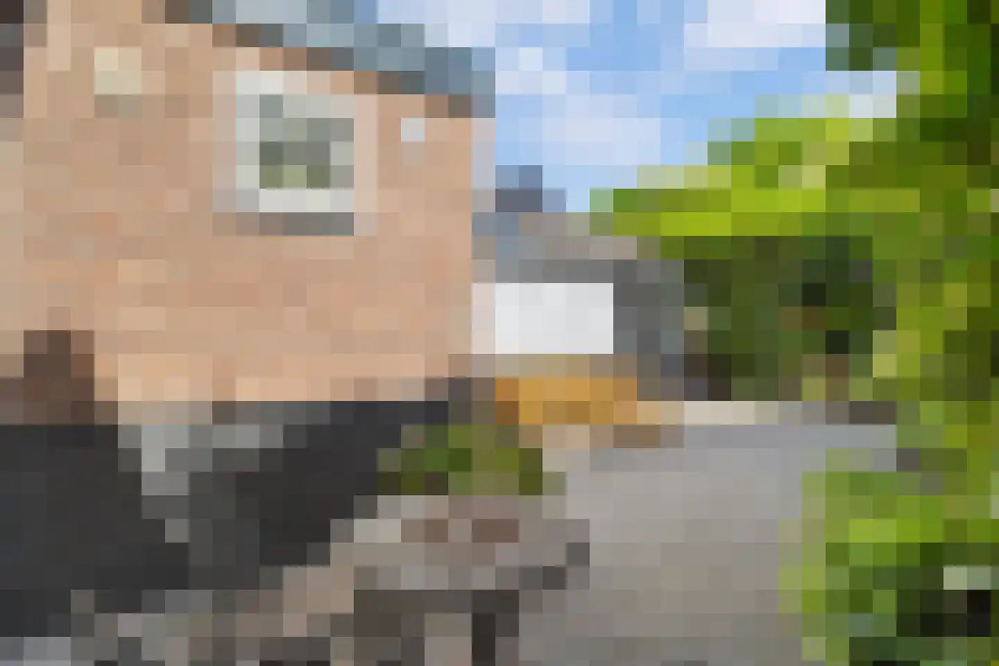 Mient 71 Castricum thumbnail 36