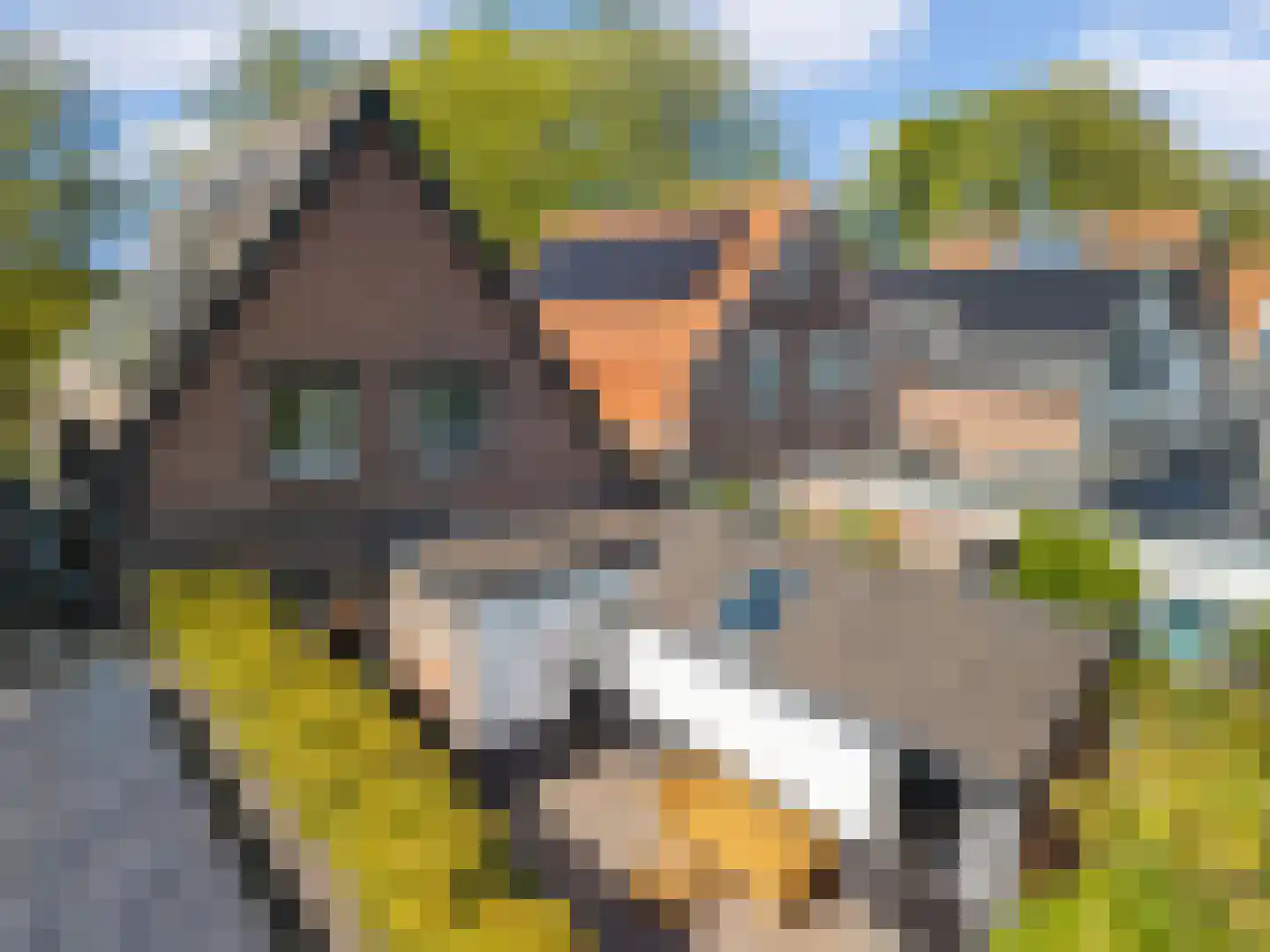 Mient 71 Castricum thumbnail 38