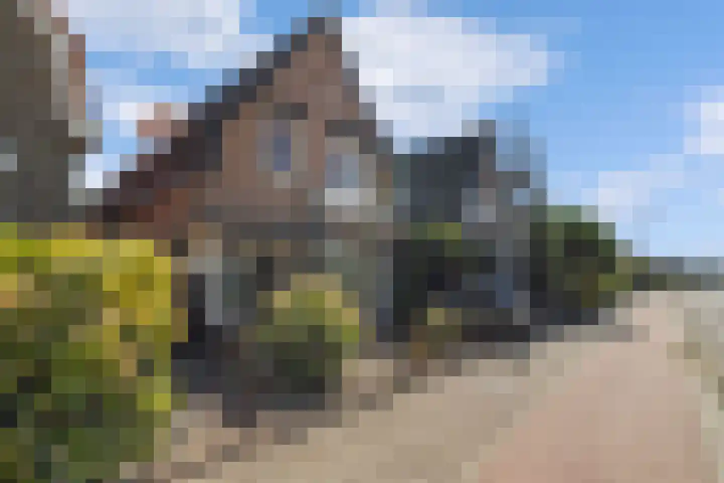 Mient 71 Castricum thumbnail 39