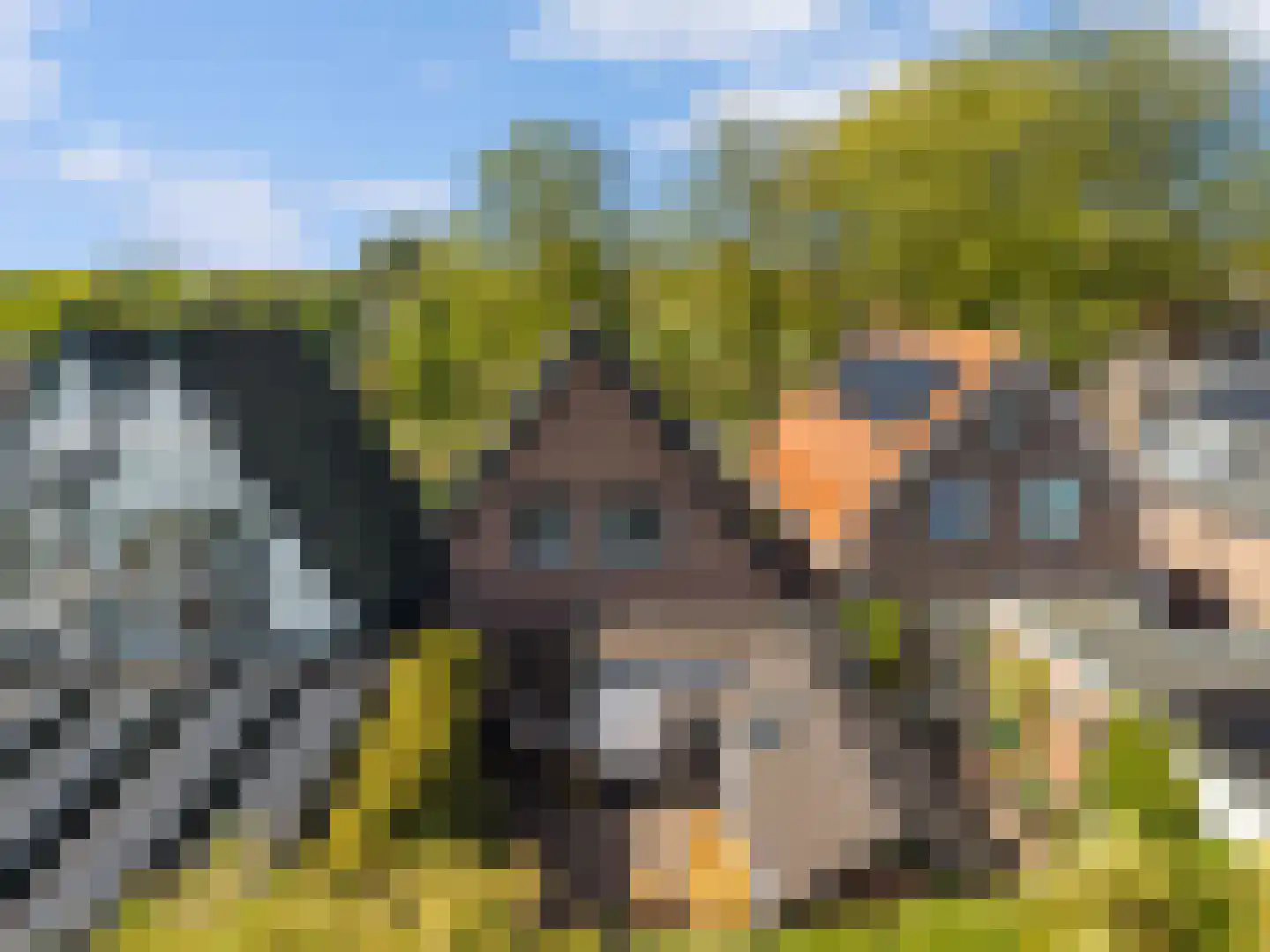 Mient 71 Castricum thumbnail 41