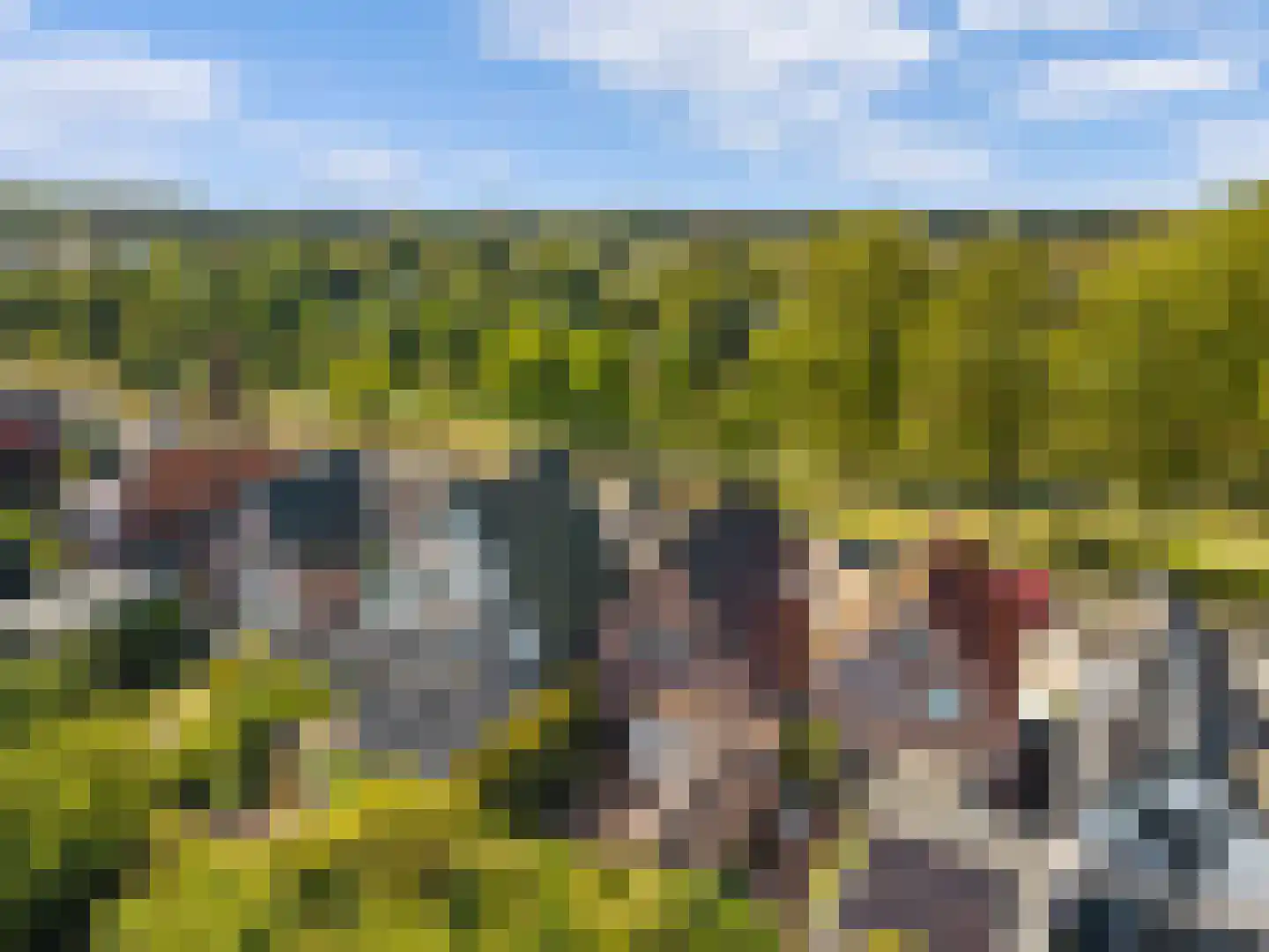 Mient 71 Castricum thumbnail 42