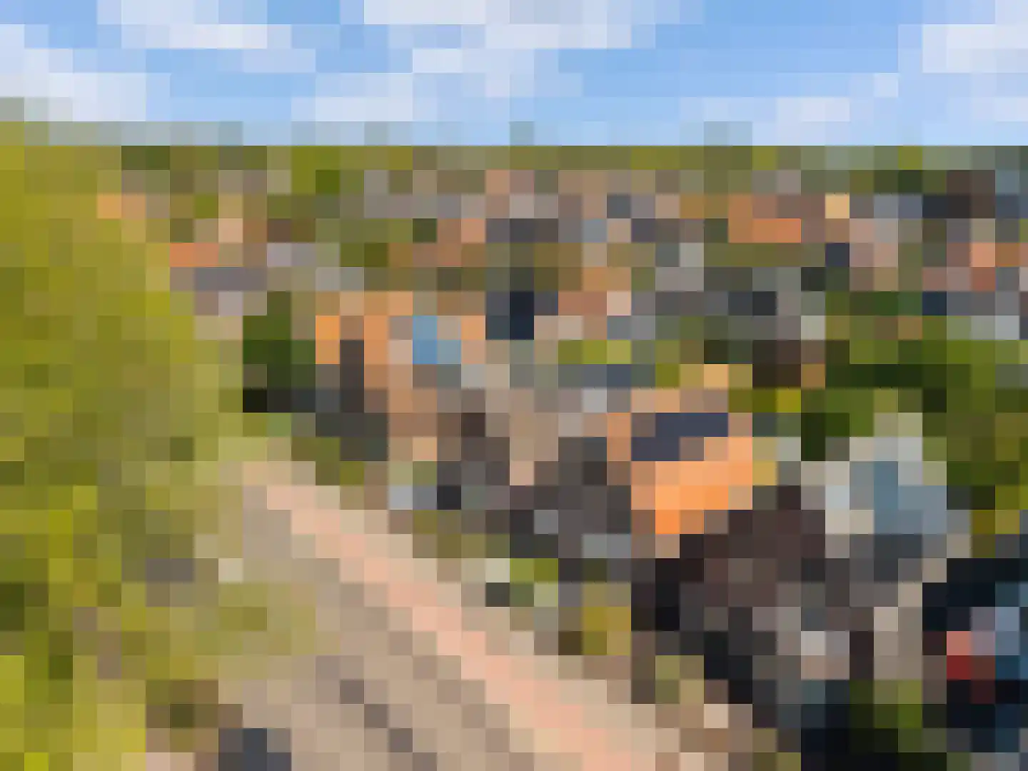 Mient 71 Castricum thumbnail 43
