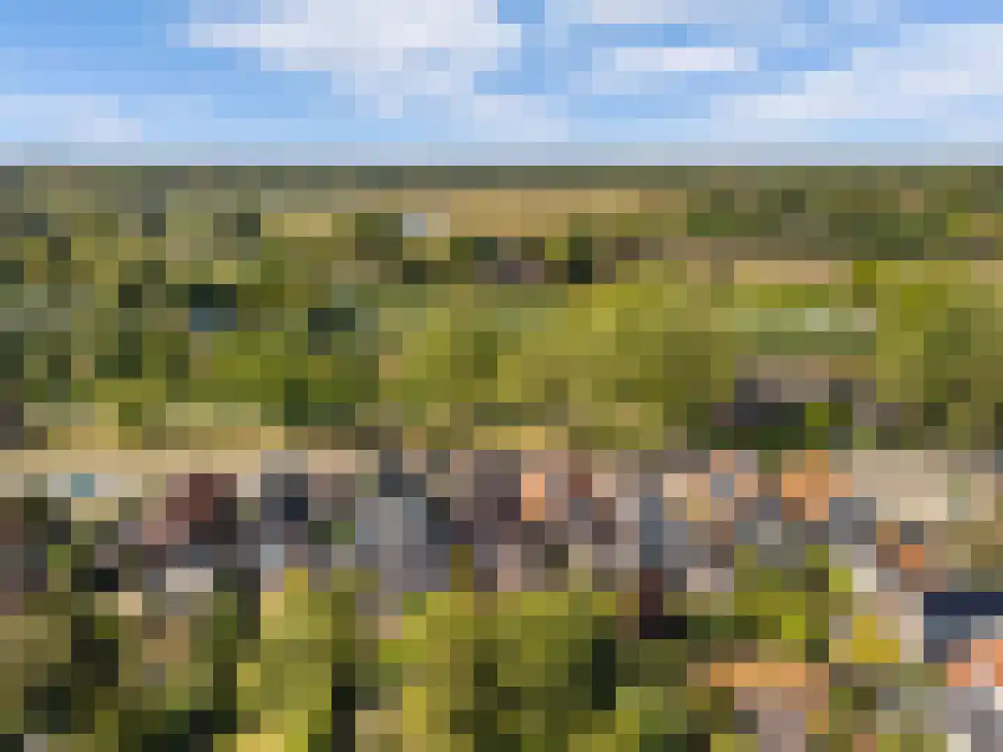 Mient 71 Castricum thumbnail 44