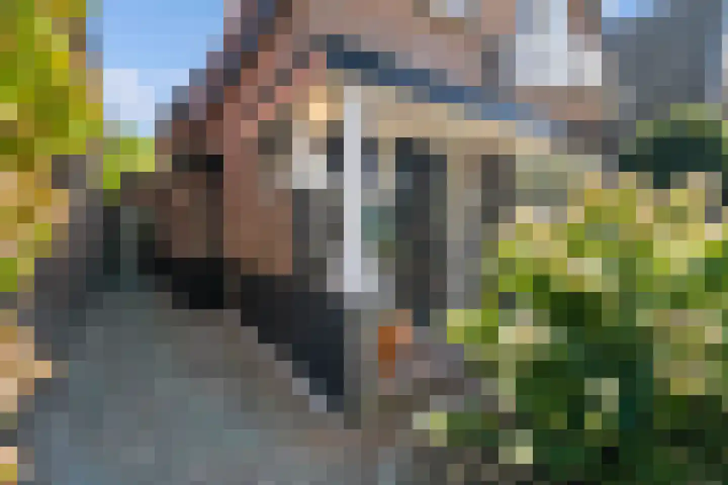 Mient 71 Castricum thumbnail 6