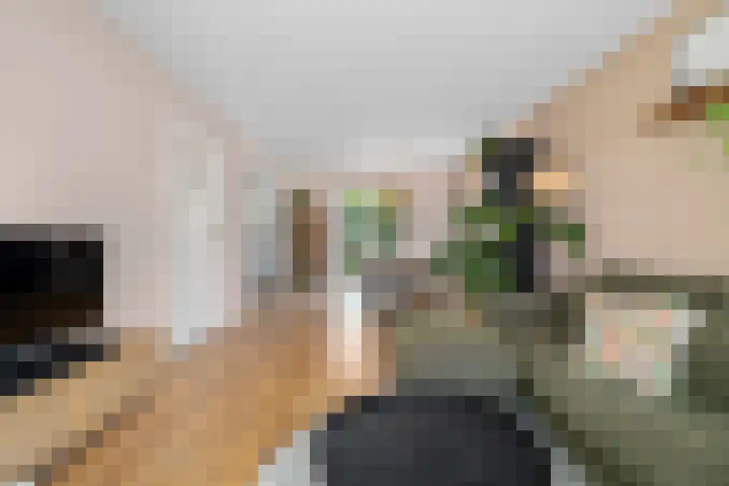 Mient 71 Castricum thumbnail 9