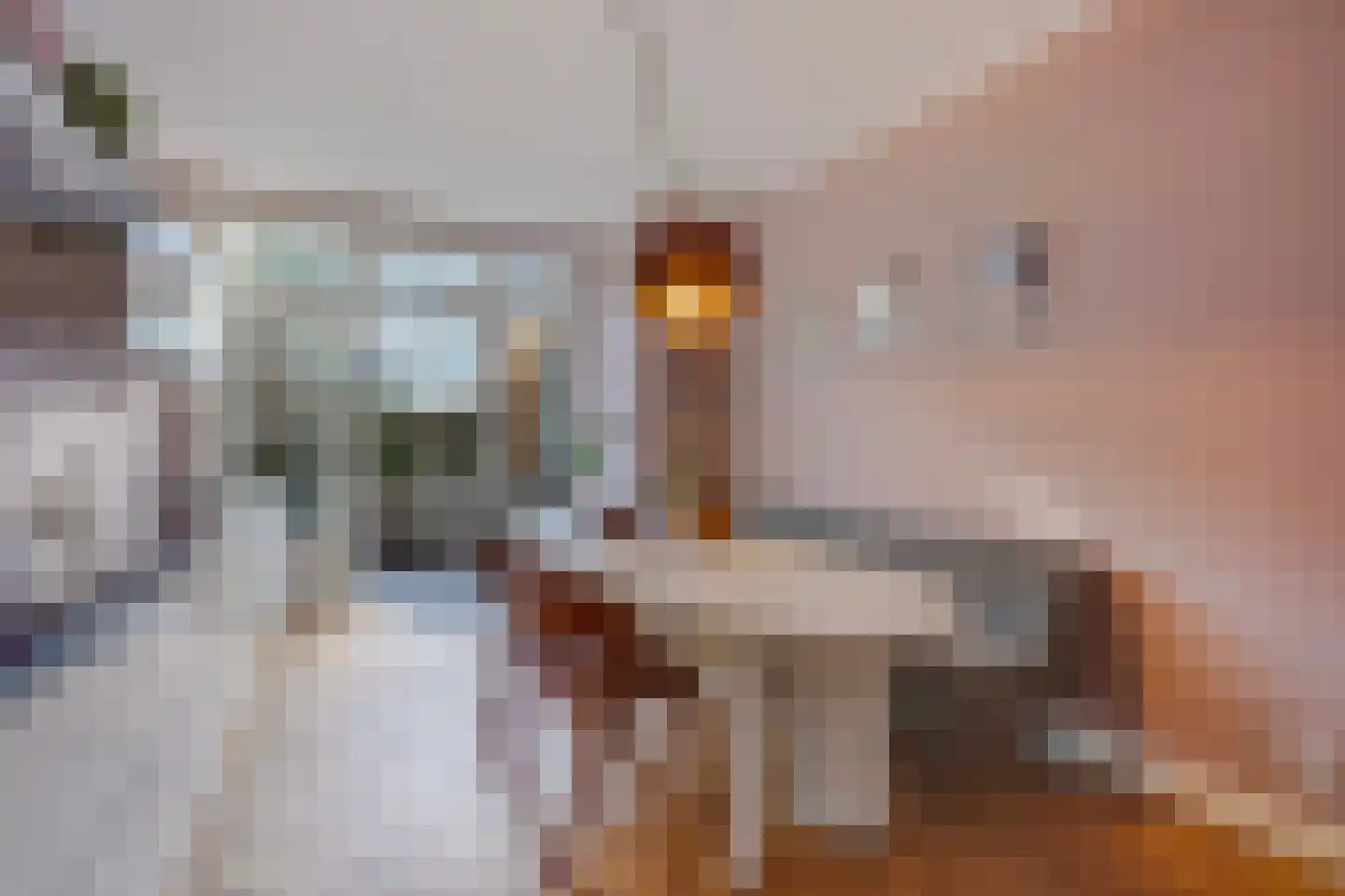 Mient 88 in Den Haag