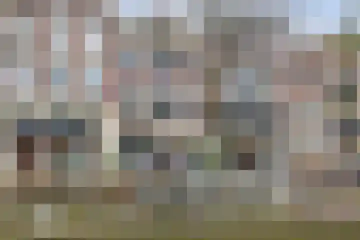 Mient 9 dans Alkmaar