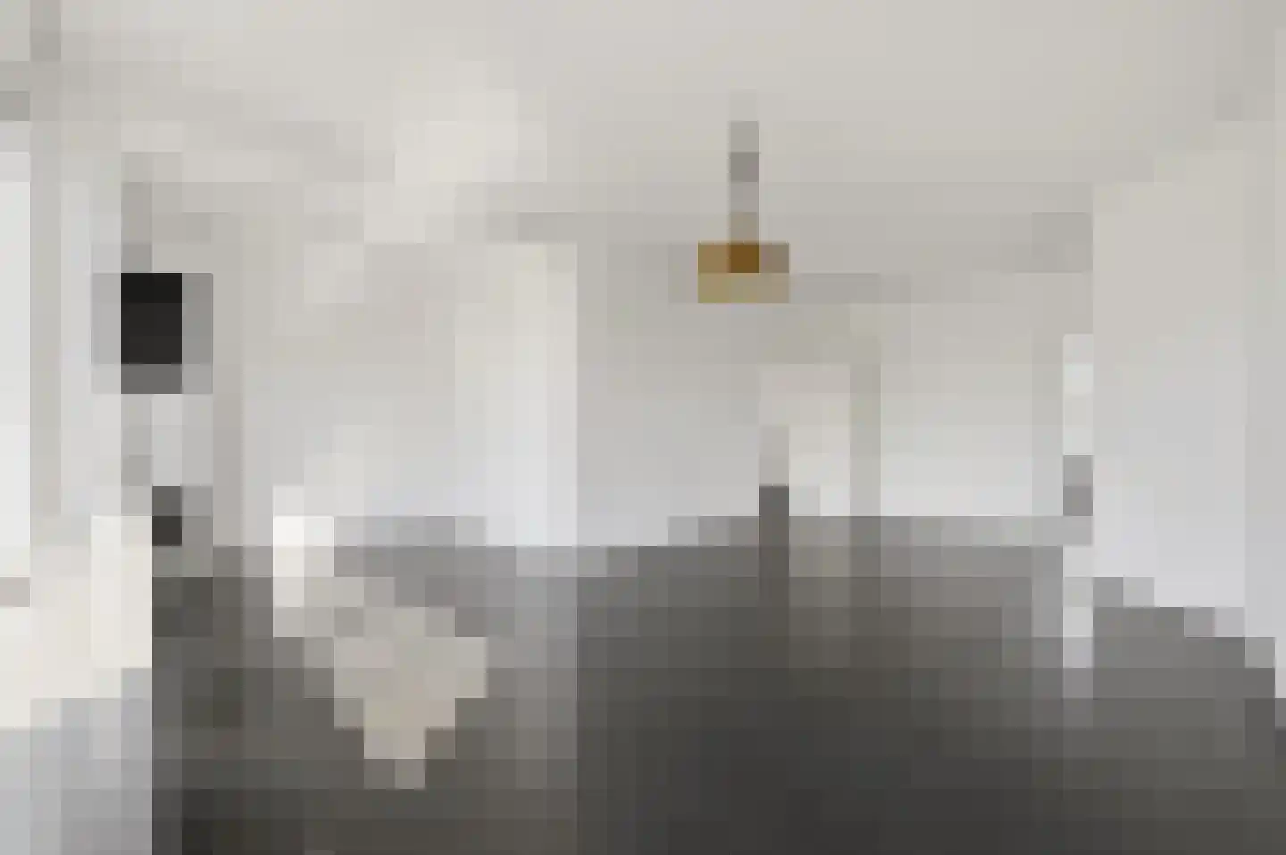 Mient 9 Den Haag thumbnail 10