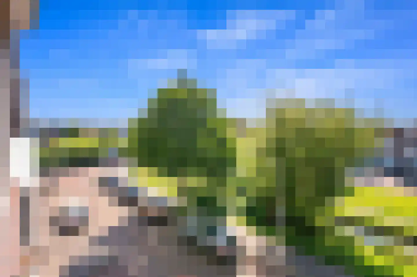 Mient 9 Den Haag thumbnail 14