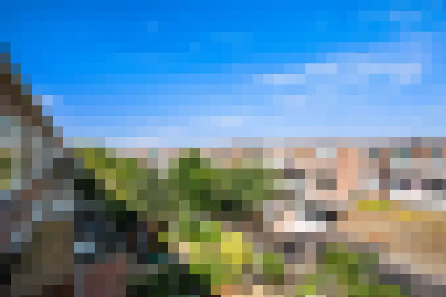 Mient 9 Den Haag thumbnail 25
