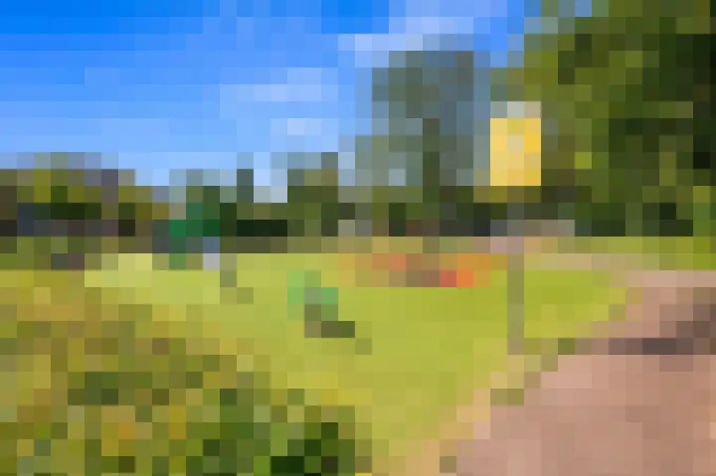 Mient 9 Den Haag thumbnail 34