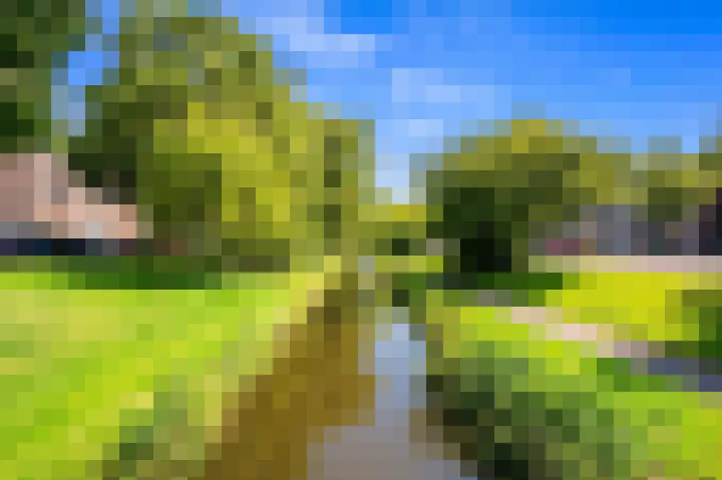 Mient 9 Den Haag thumbnail 35