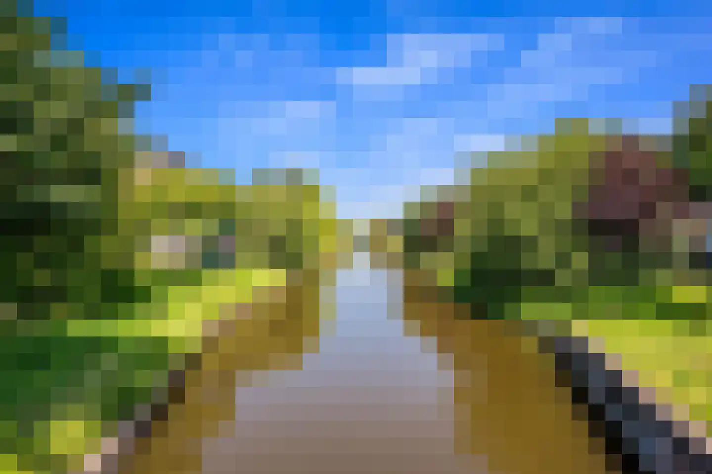 Mient 9 Den Haag thumbnail 37