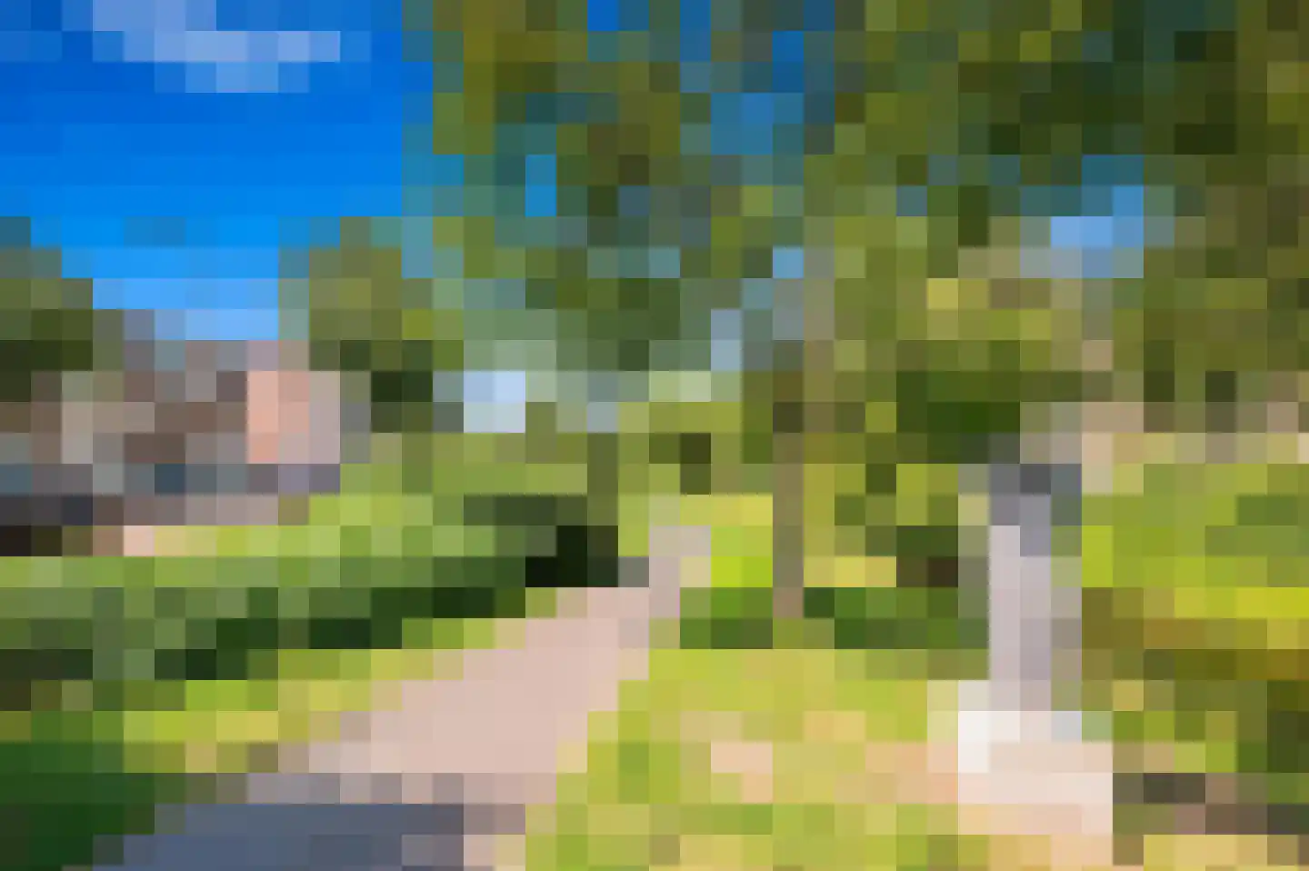 Mient 9 Den Haag thumbnail 38
