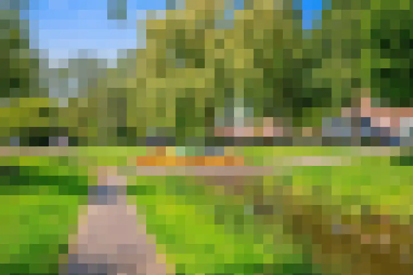 Mient 9 Den Haag thumbnail 39