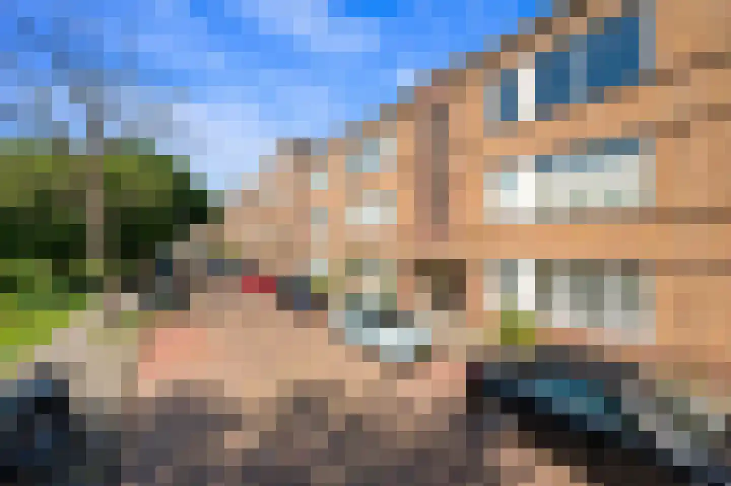 Mient 9 Den Haag thumbnail 6