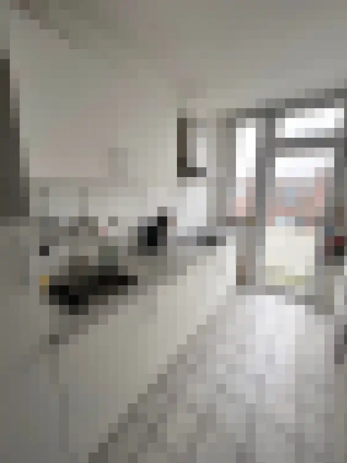 Mient Den Haag thumbnail 4