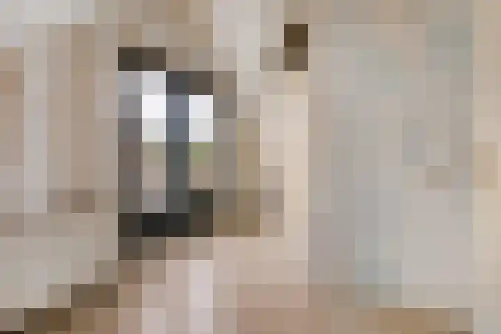Mientekade 76 Halfweg thumbnail 19