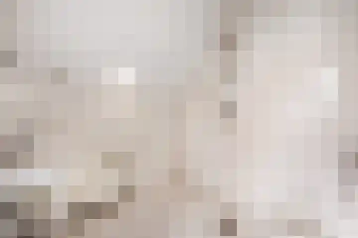 Mientekade 76 Halfweg thumbnail 22