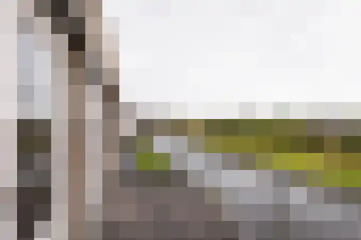 Mientekade 76 Halfweg thumbnail 23
