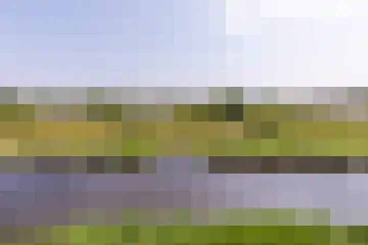Mientekade 76 Halfweg thumbnail 26